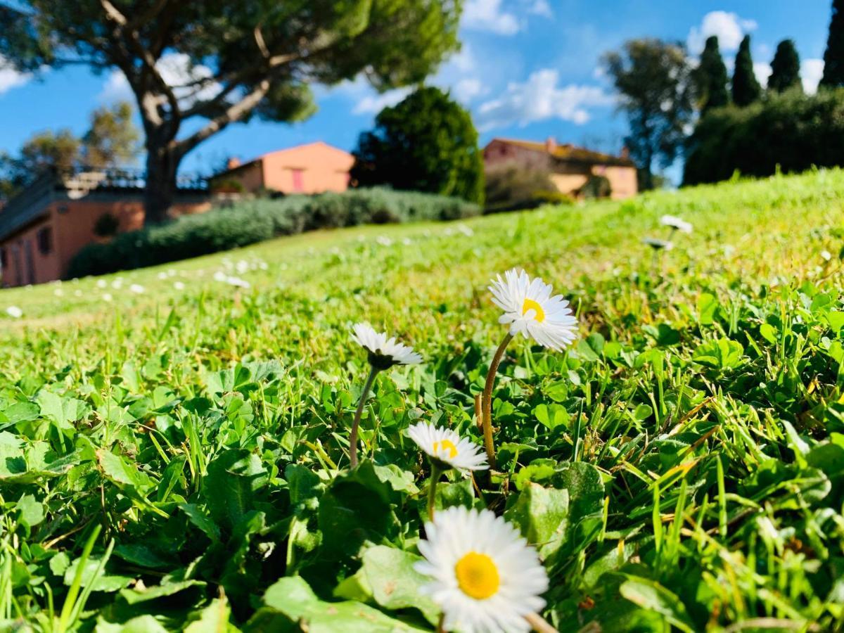 Vila Tenuta Agricola Fraschiera Massa Marittima Exteriér fotografie