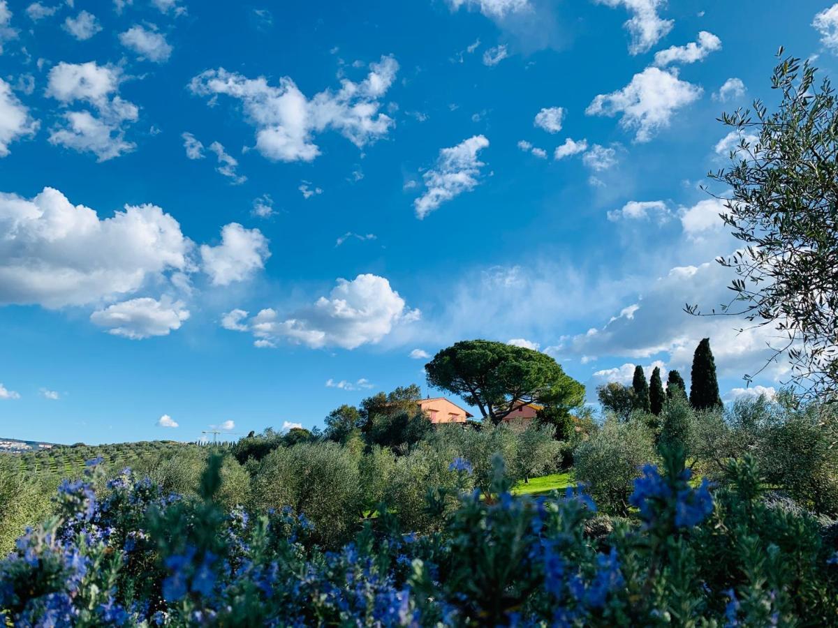 Vila Tenuta Agricola Fraschiera Massa Marittima Exteriér fotografie