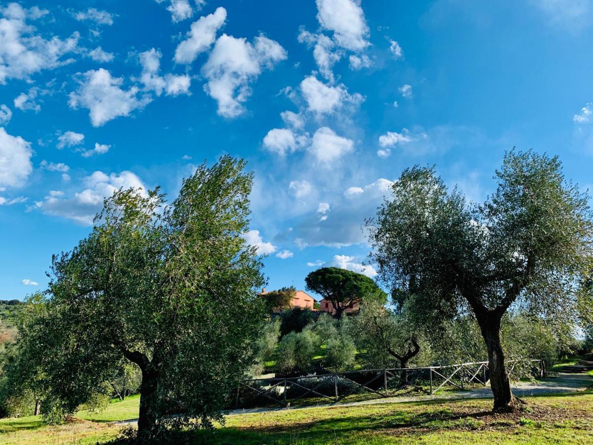 Vila Tenuta Agricola Fraschiera Massa Marittima Exteriér fotografie