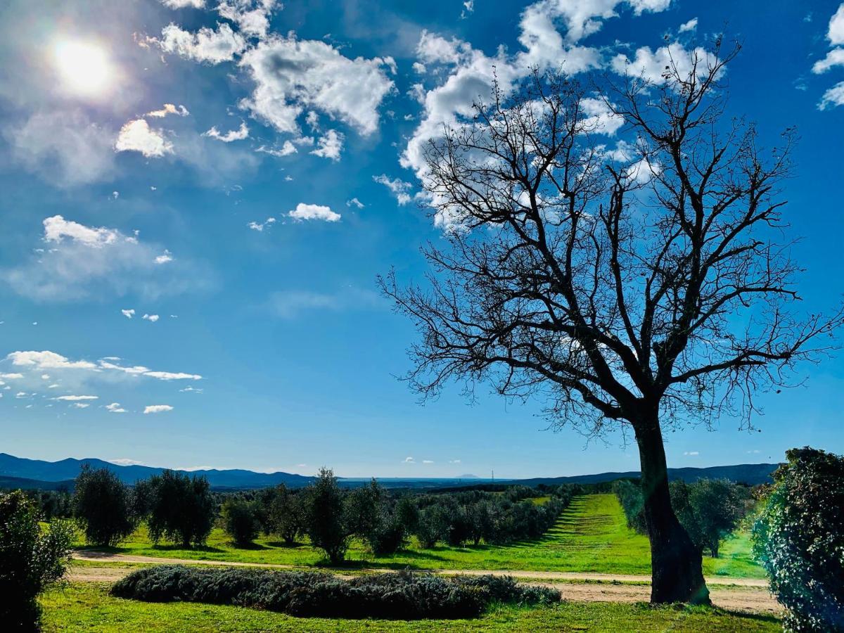 Vila Tenuta Agricola Fraschiera Massa Marittima Exteriér fotografie