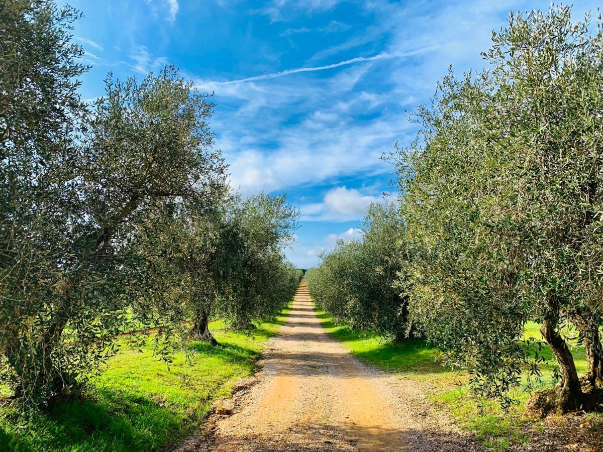 Vila Tenuta Agricola Fraschiera Massa Marittima Exteriér fotografie