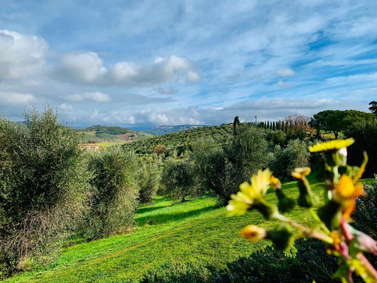 Vila Tenuta Agricola Fraschiera Massa Marittima Exteriér fotografie