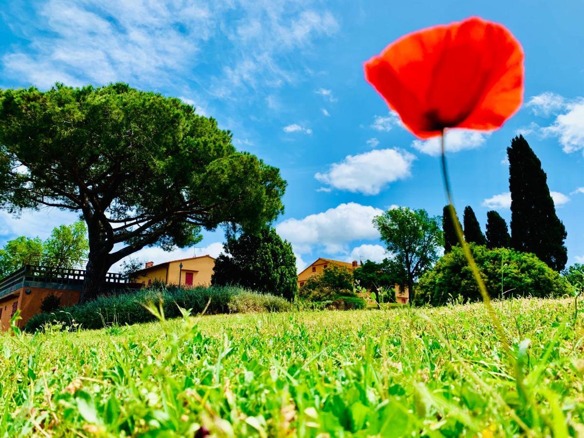 Vila Tenuta Agricola Fraschiera Massa Marittima Exteriér fotografie