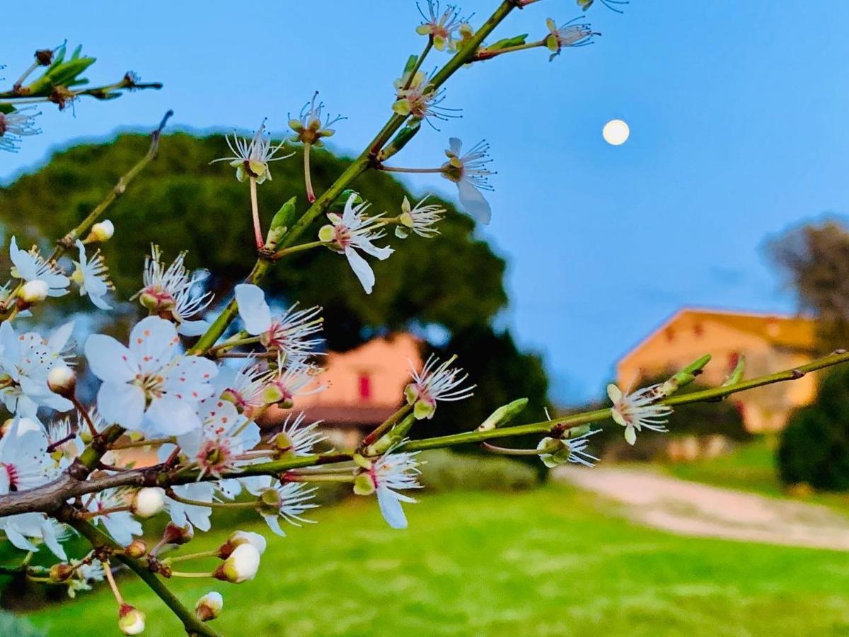 Vila Tenuta Agricola Fraschiera Massa Marittima Exteriér fotografie