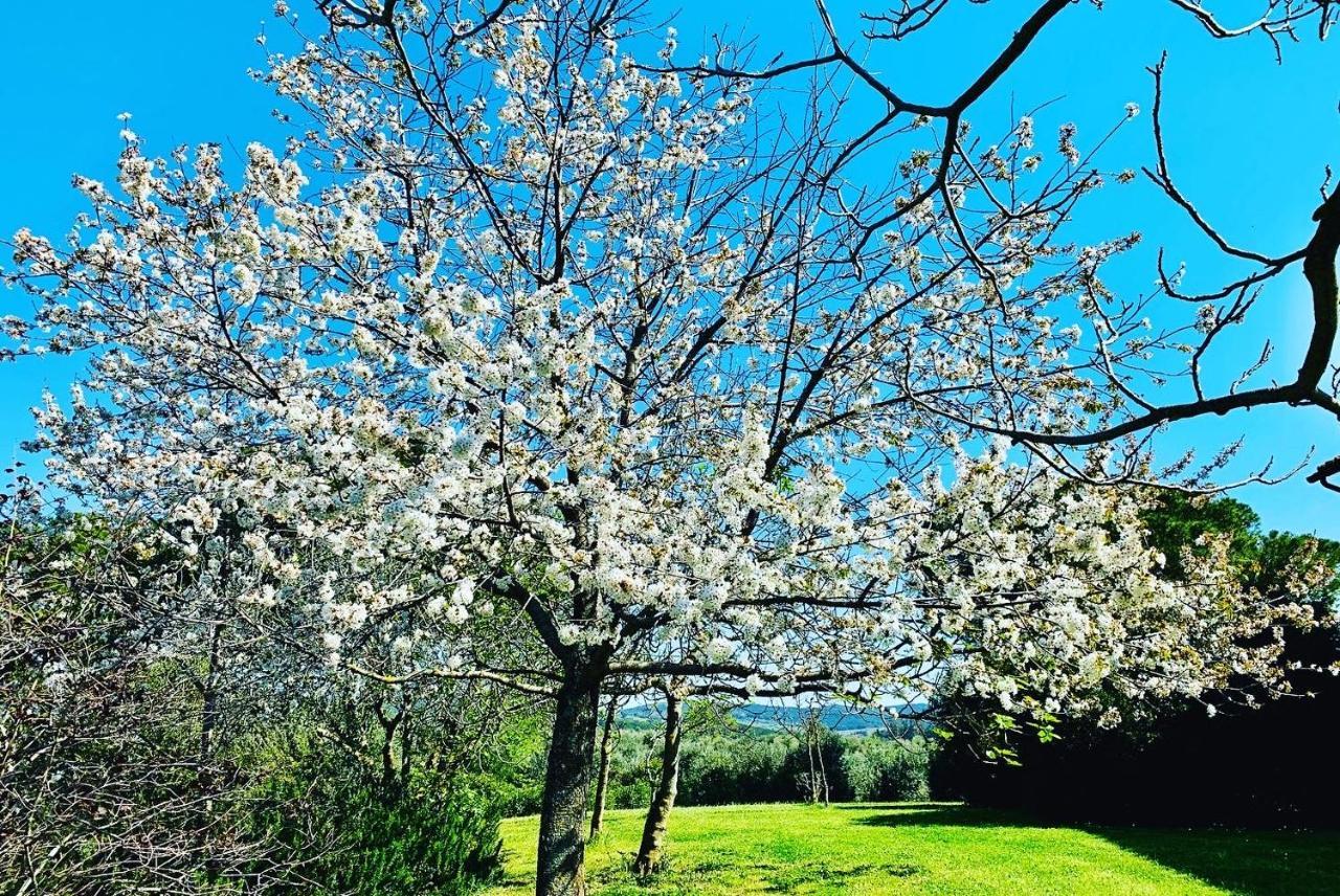 Vila Tenuta Agricola Fraschiera Massa Marittima Exteriér fotografie